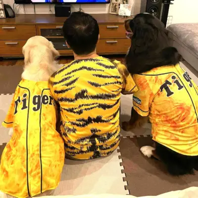 阪神をワンコと応援しています