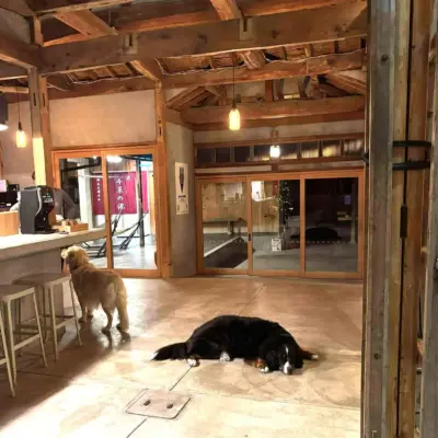 愛犬と泊まれる淡路島の一棟貸しの宿「 Awajishima dog stay.CHIKUSA