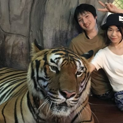 由比さん　タイ旅行で本物の虎とふれあい